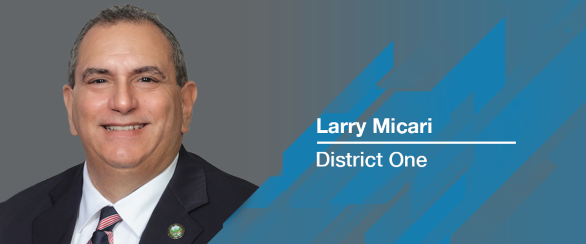 Larry Micari, District 1- Vice Chair