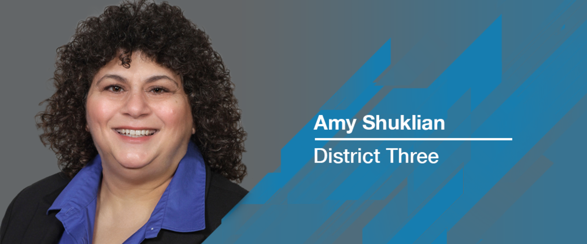 Amy Shuklian, District 3