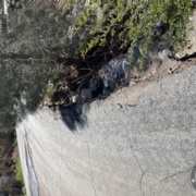 TC_01528.JPG