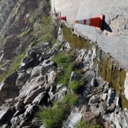 TC_01527.JPG