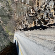 TC_01574.JPG