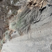 TC_01568.JPG