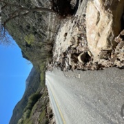 TC_01594.JPG