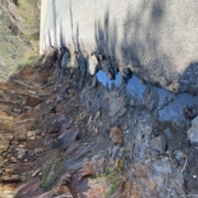 TC_01578.JPG