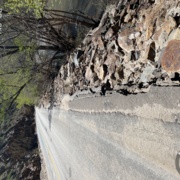 TC_01580.JPG