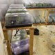 16 People, Including Two Teens, Arrested for Massive Pot Grow at Terra Bella Home