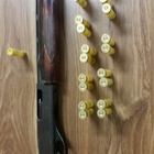 Felon in Possession of a Firearm, Under the Influence of a Controlled Substance while Armed, Gang member in Possession of a Firearm