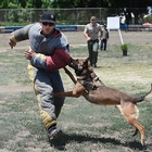 Results from Sierra -K-9 Trials