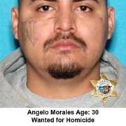 Angelo Morales