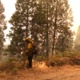UPDATED 9/28/20: SEQUOIA COMPLEX FIRE LATEST INFORMATION